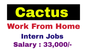 Cactus Intern